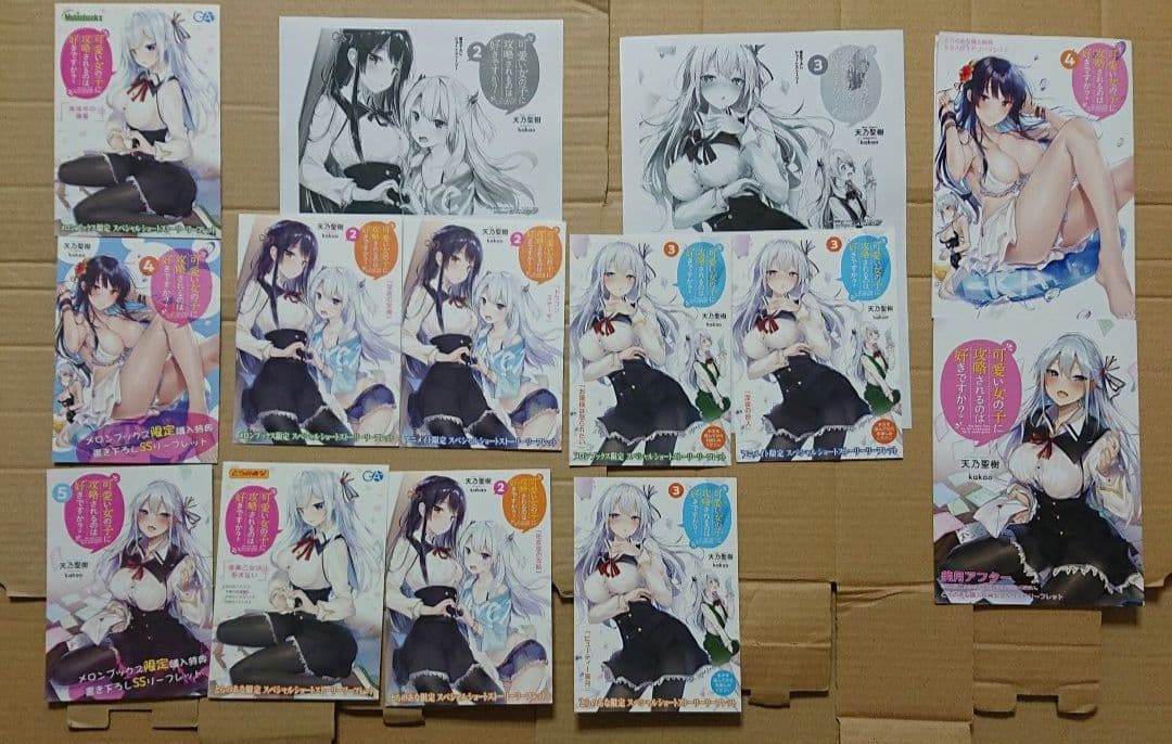 可愛い女の子に攻略されるのは好きですか? 一部店舗特典セット1