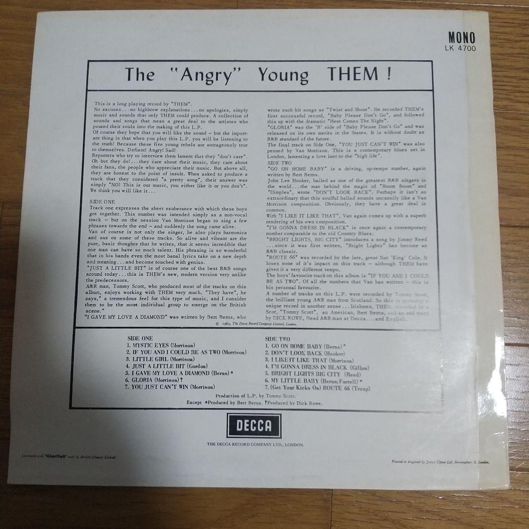 them LP 2枚セット ガレージパンク モッズ 60s