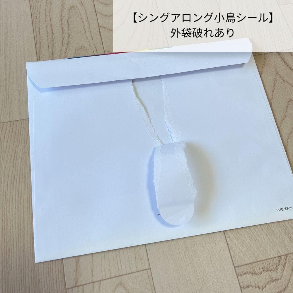 DWE ミッキーパッケージフルセット【追加写真】2022年購入