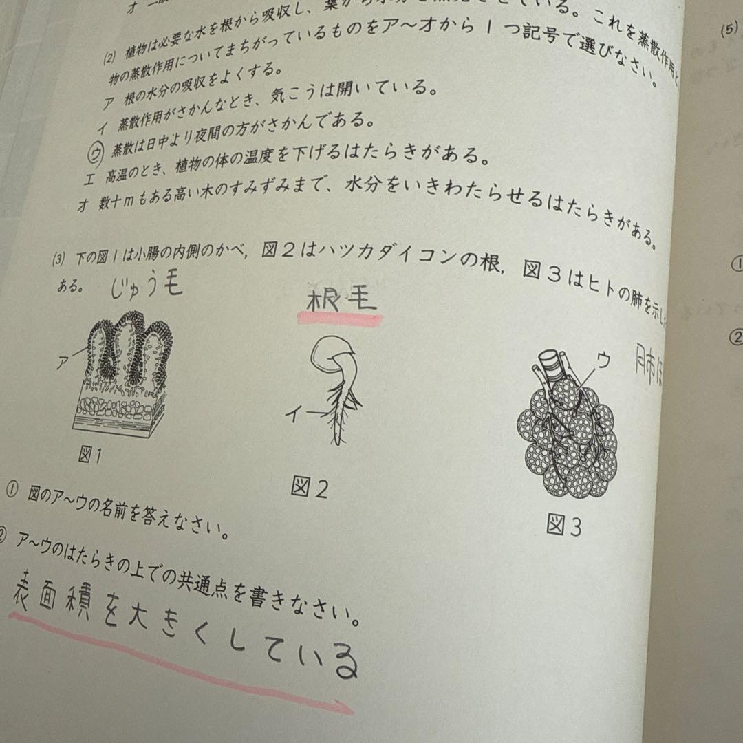浜学園　最難関女子　日曜志望校特訓問題集 9月　10月　神女　高槻　四天王寺