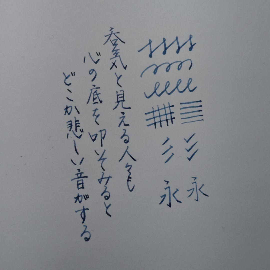 ゴ*ゴ様 【カスタム万年筆】パイロット カスタム74 SM→小太刀風研磨