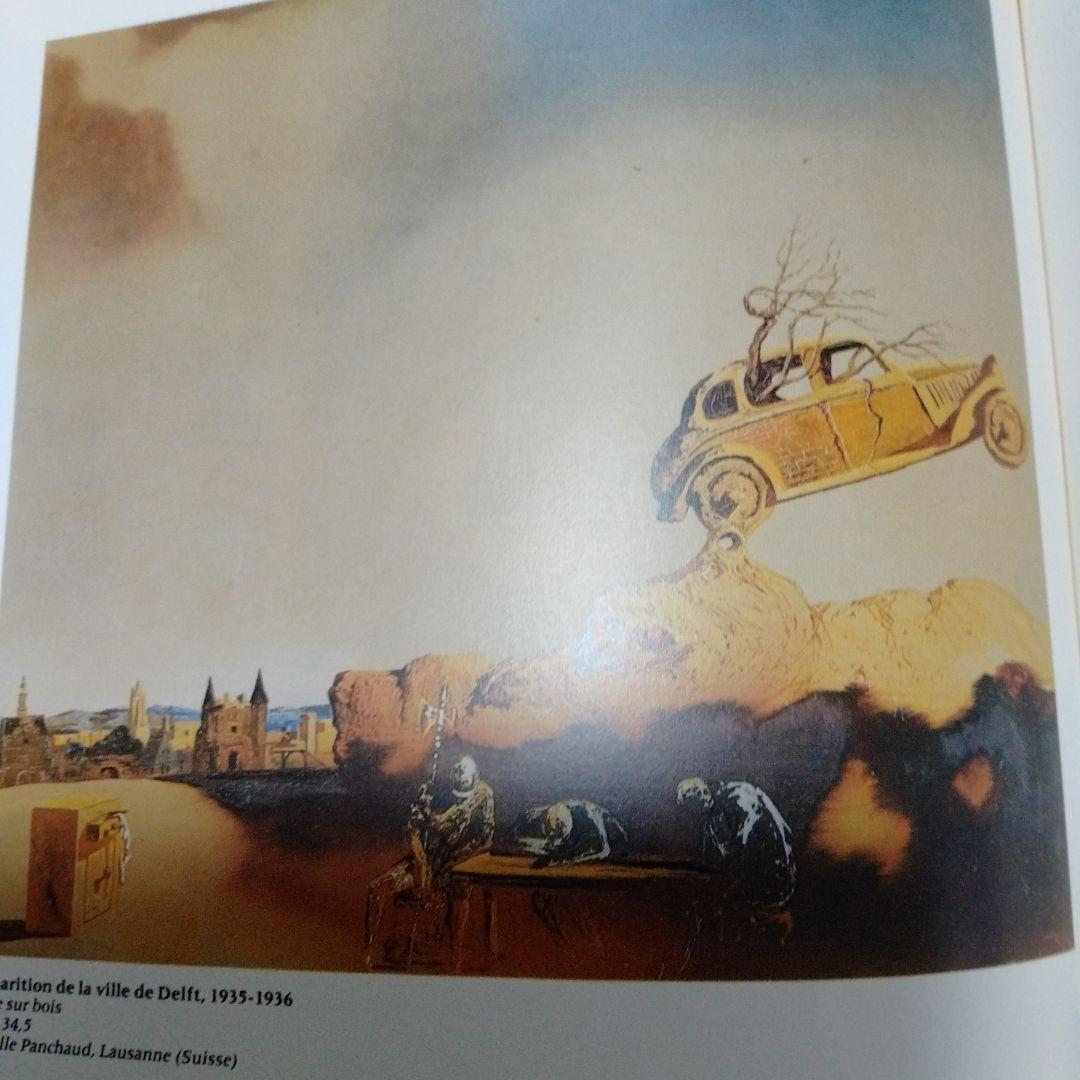 ダリ回顧展 図録 1980年 ポンピドーセンター 近代美術館 大型本 布装