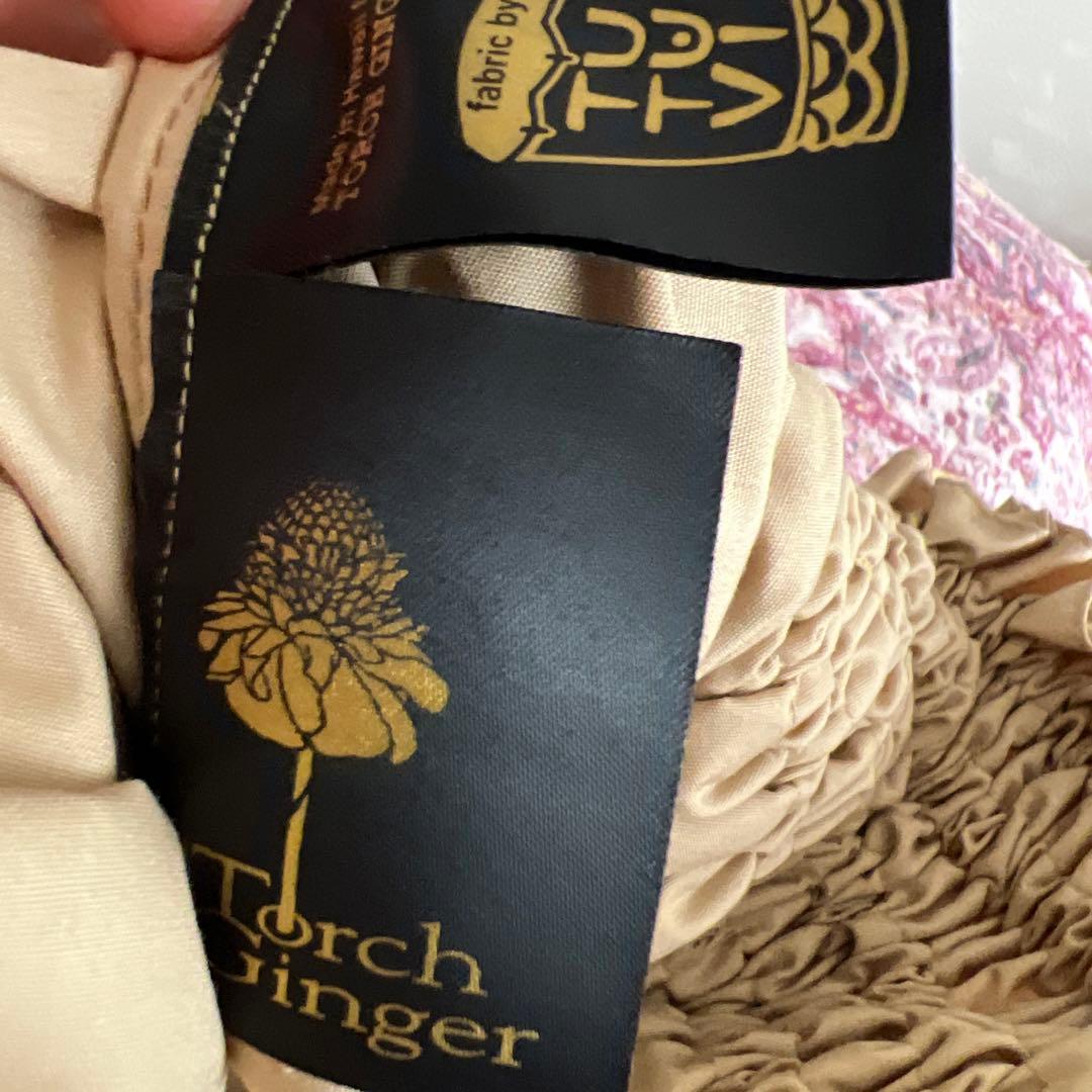 トーチジンジャーtutuvi