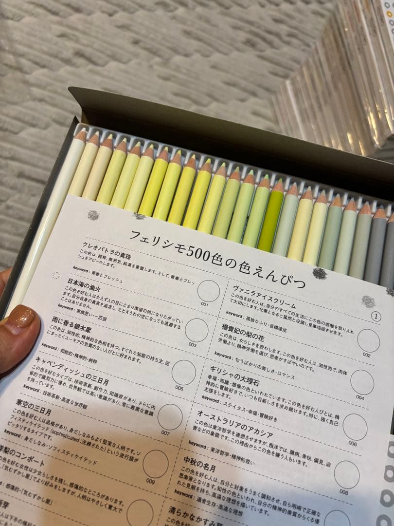 フェリシモ 500色鉛筆 未使用品　全種類