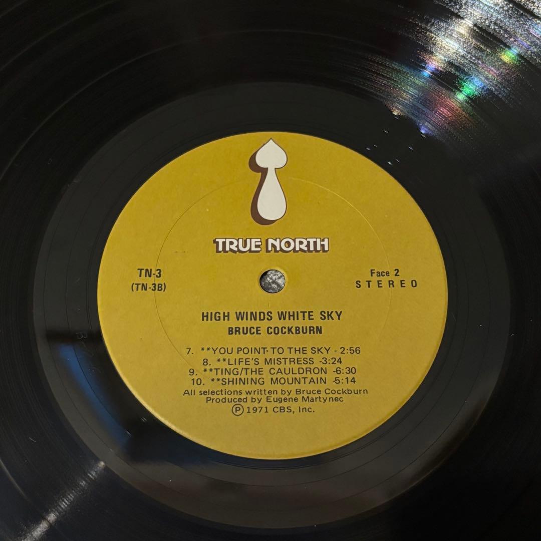 レコード SSW名盤 Bruce Cockburn フォーク レアグルーヴ LP