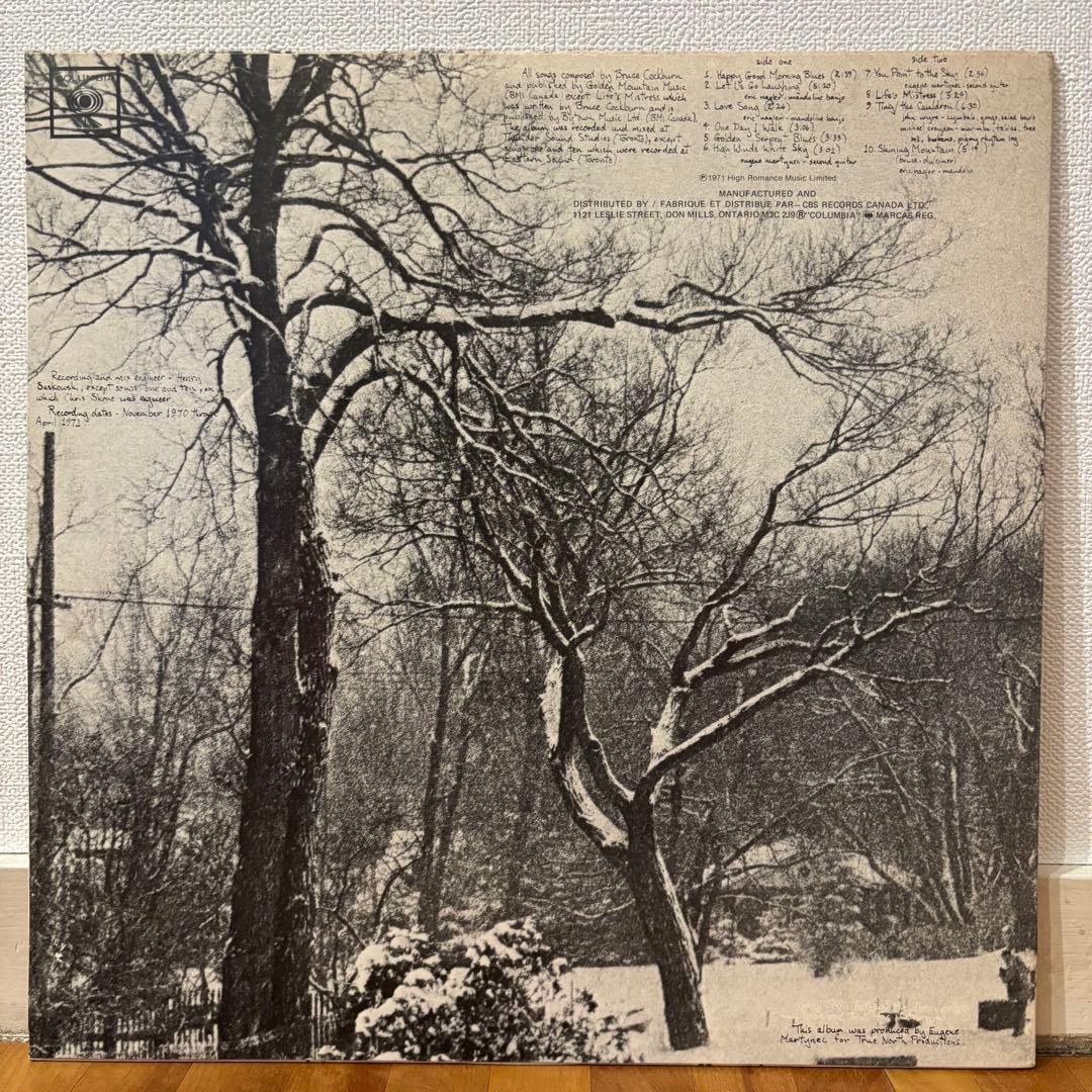 レコード SSW名盤 Bruce Cockburn フォーク レアグルーヴ LP