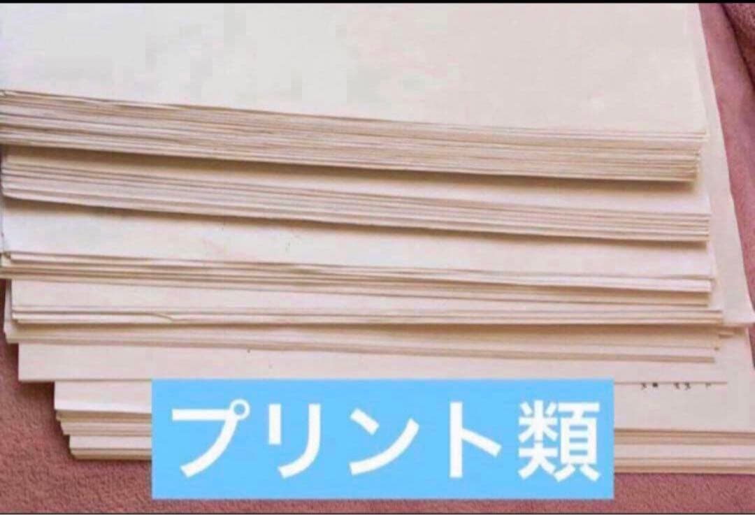 【フルセット独学可】鉄緑会 高1 数学 発展講座I/II ノート　プリント　講習