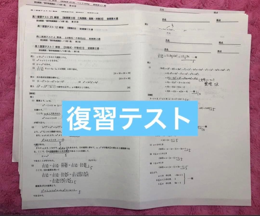 【フルセット独学可】鉄緑会 高1 数学 発展講座I/II ノート　プリント　講習