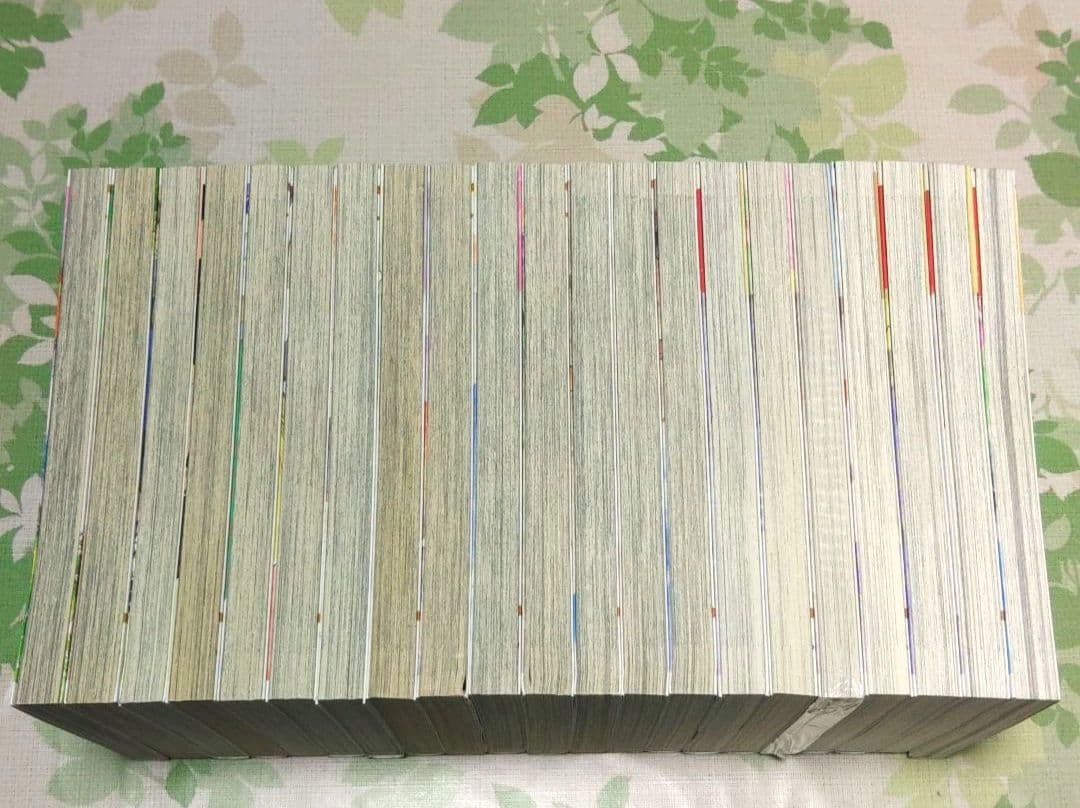 「アニメ化作品」 29歳独身中堅冒険者の日常 1～21巻　既刊全巻　漫画　異世界