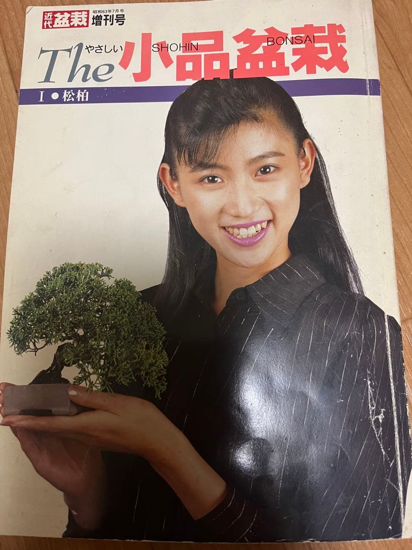 盆栽鉢　近代盆栽増刊号1松柏　ヴィンテージ　小品盆栽の本小品盆栽鉢作家名鑑落款集