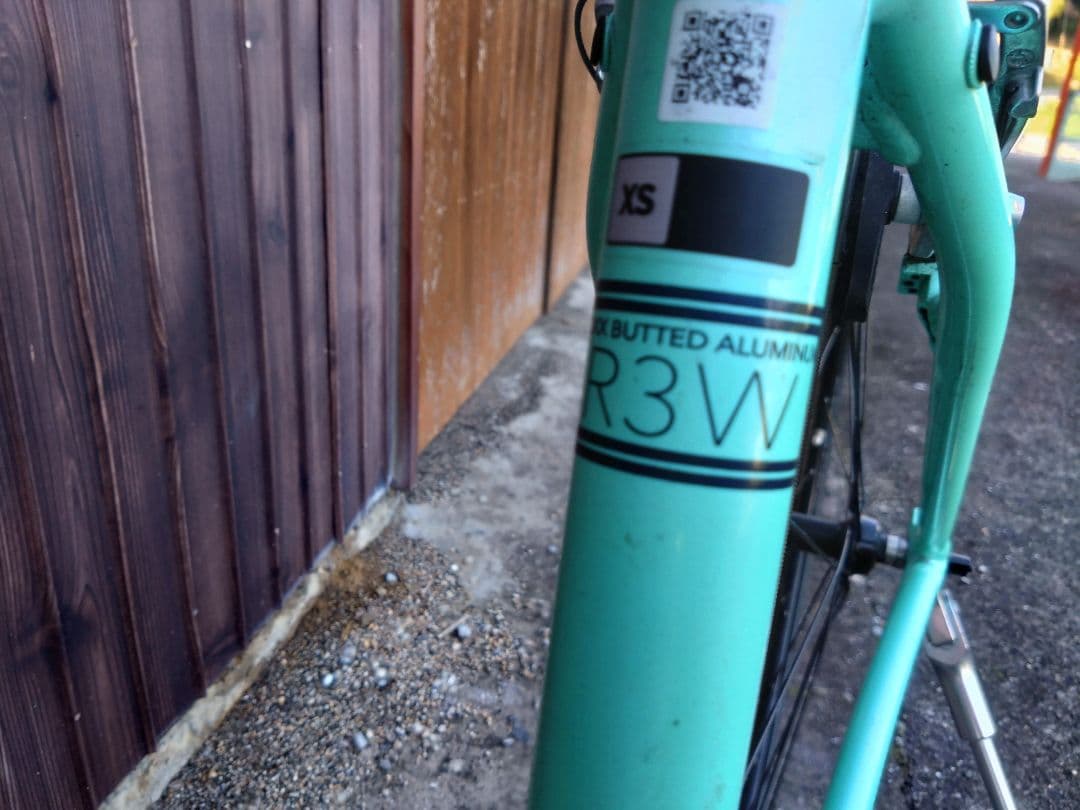 梱包発送たのメル便Giant ミントグリーン 自転車 本体 バスケット付き