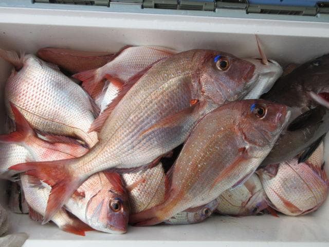 E type 80g3個 グロー 装着 爆光 鯛ラバ タングステン 鯛ラバ