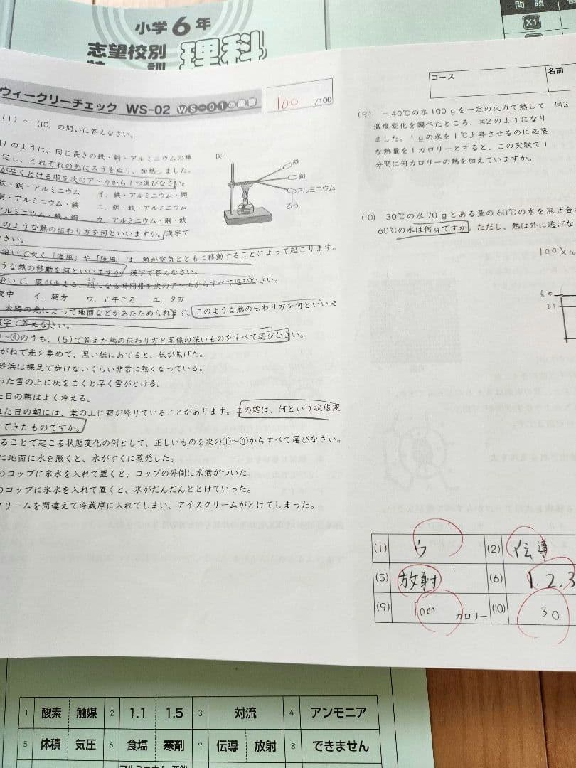 2025年度 サピックス6年生 土特　理科　欠番なし　知識の総完成　土曜特訓