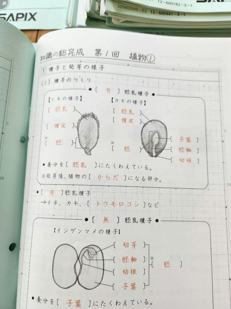 2025年度 サピックス6年生 土特　理科　欠番なし　知識の総完成　土曜特訓