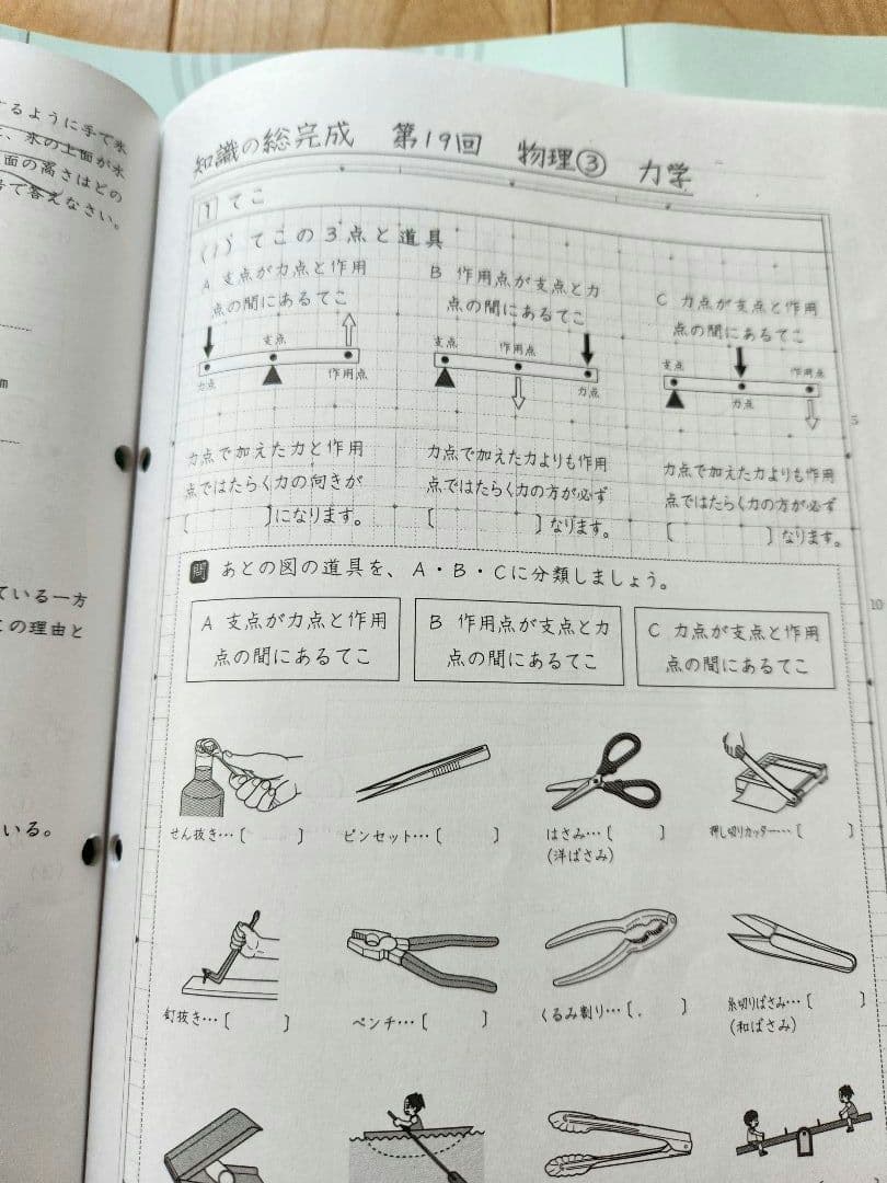 2025年度 サピックス6年生 土特　理科　欠番なし　知識の総完成　土曜特訓
