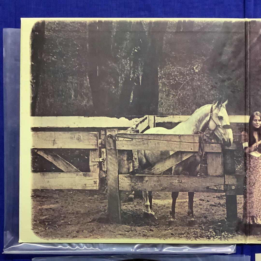 国内盤LPレコード　ヴァン・モリソン / テュペロ・ハニー　　　　　LR3FV