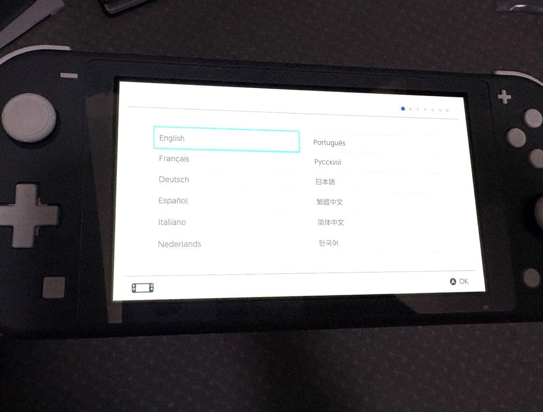 Nintendo Switch Lite グレー 充電器付き 箱付き
