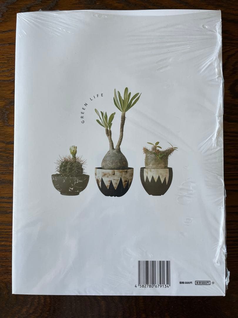 送料込み 貴重 ライトニング lightning グリーンライフ