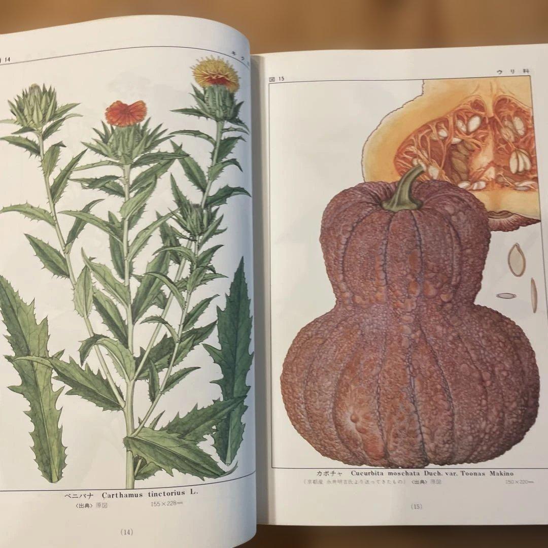 精選　牧野植物図集