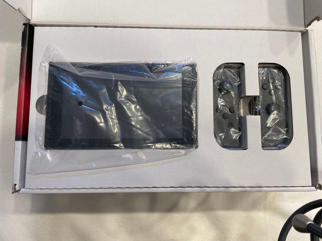 Switch 保体　グレー