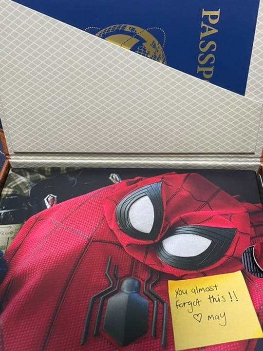 スパイダーマン　ファーフロムホーム　スチールブック