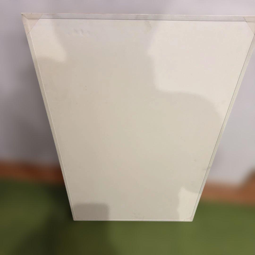 自律神経系図・人体神経系図セット