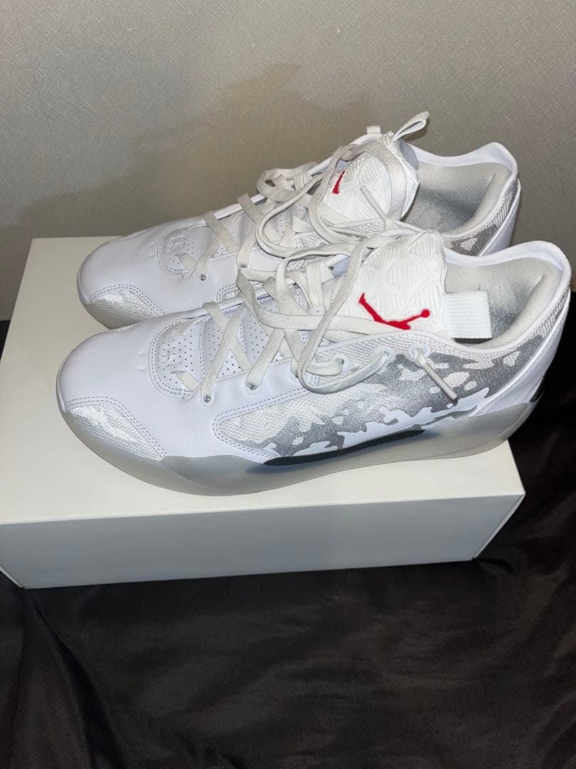 シューズ(男性用) Air Jordan 39 30cm