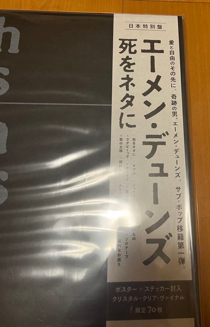 新品未使用品 AMEN DUNES death jokes