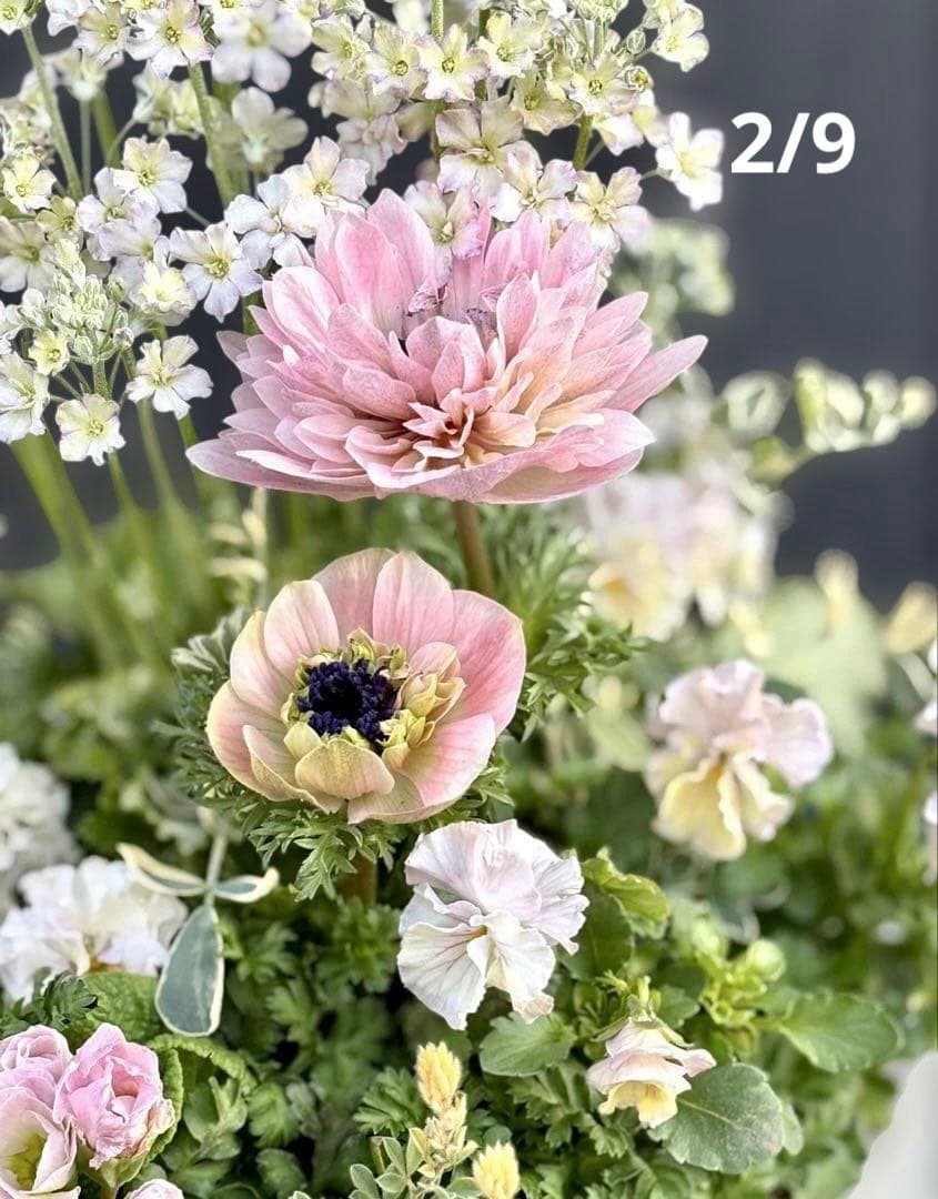 【お値下】ヒヤシンス咲く天使のお庭