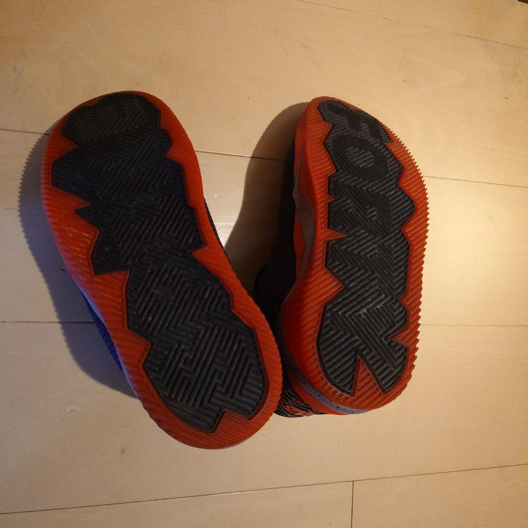 Nike Air Jordan バスケットボールシューズ