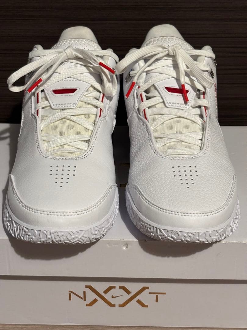 NIKE ズーム レブロン ネクスト ジェン AMPD EP