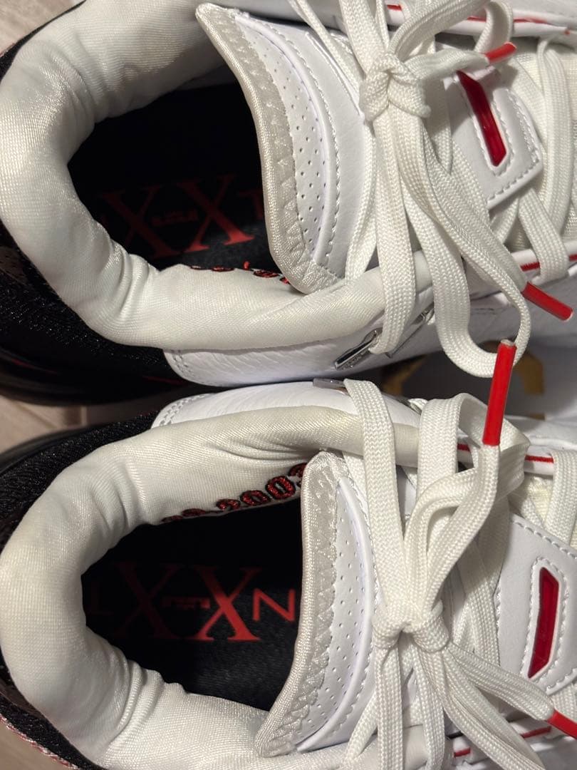 NIKE ズーム レブロン ネクスト ジェン AMPD EP