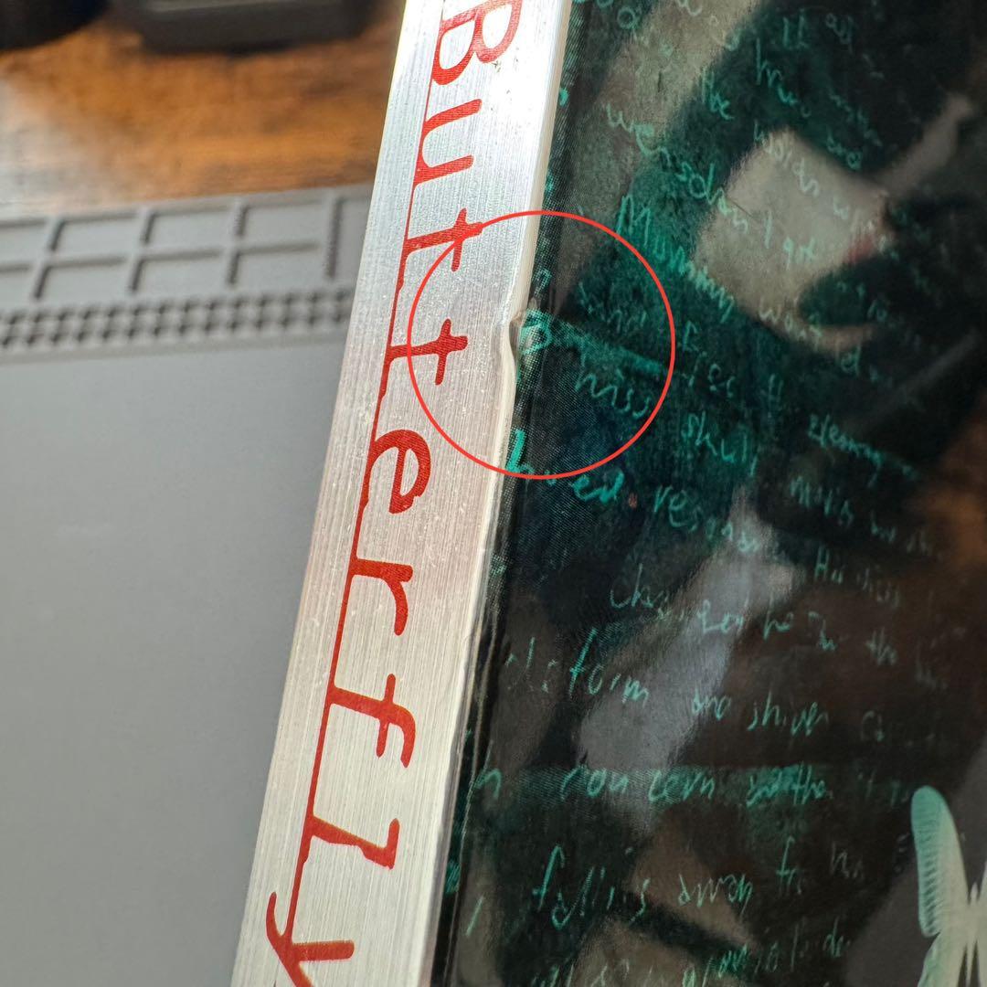 バタフライ・エフェクト　プレミアムエディション