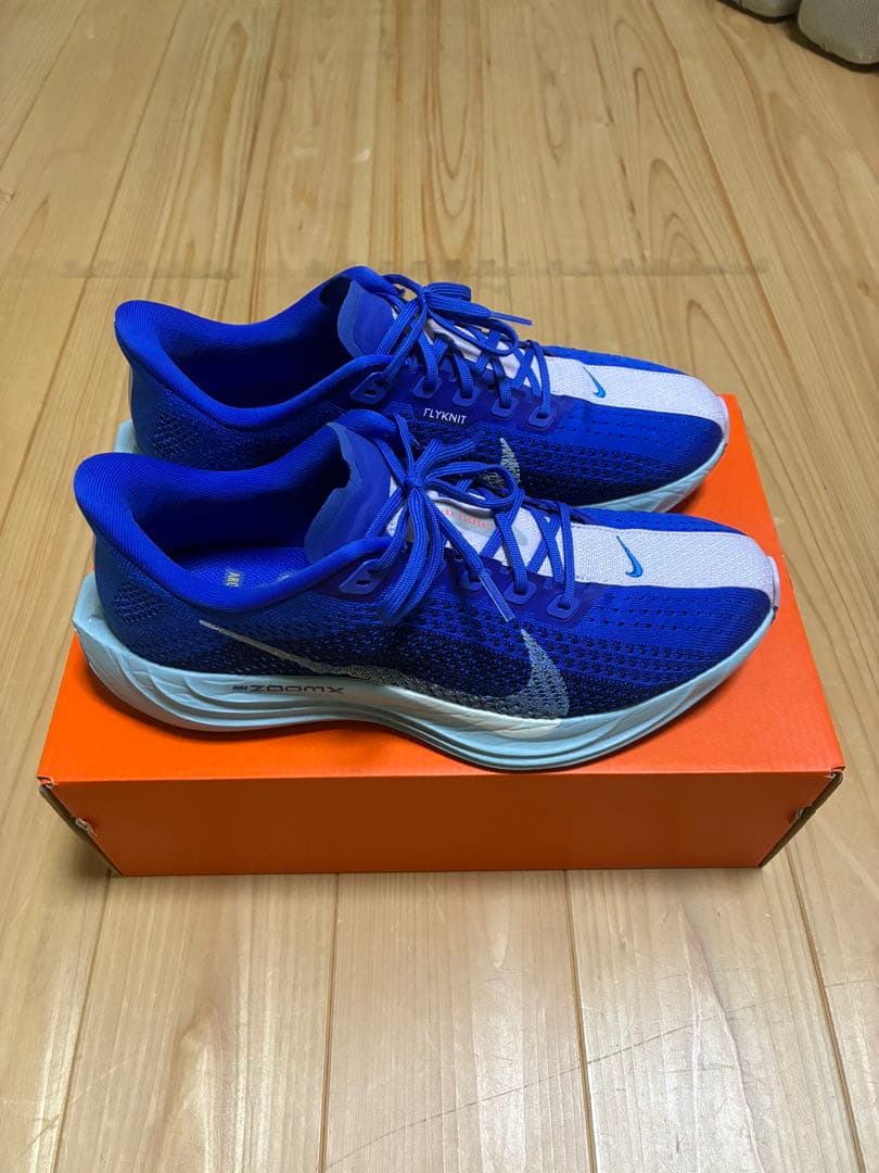 NIKE ペガサスプラス