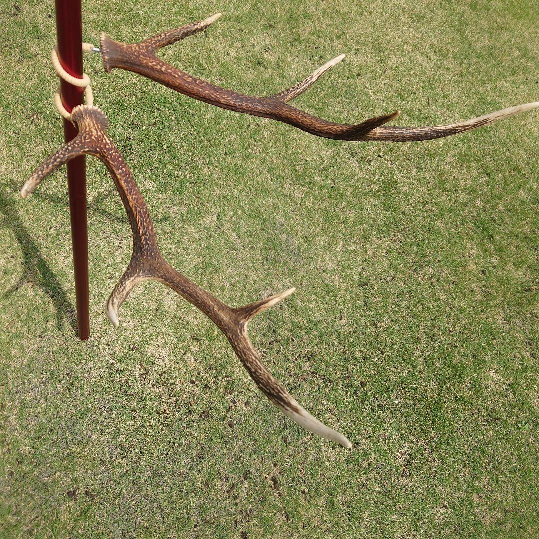 2本セット　鹿の角ランタンハンガー　スウェード加工