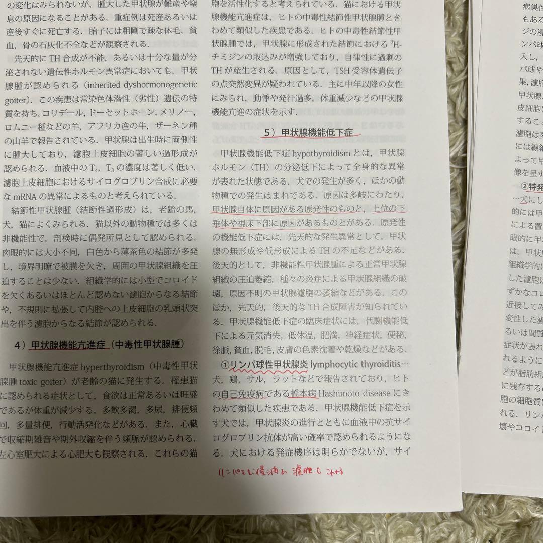 【裁断済】　動物病理学　各論　第3版