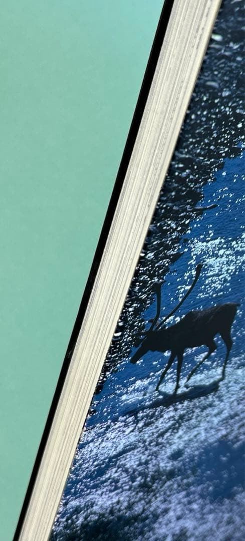 【美品】風のような物語 星野道夫