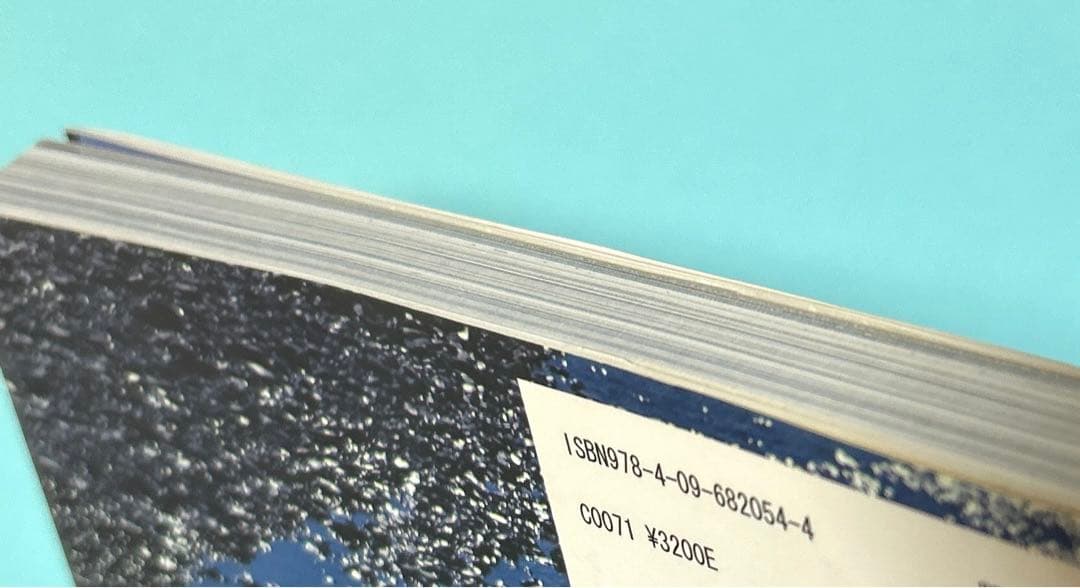 【美品】風のような物語 星野道夫