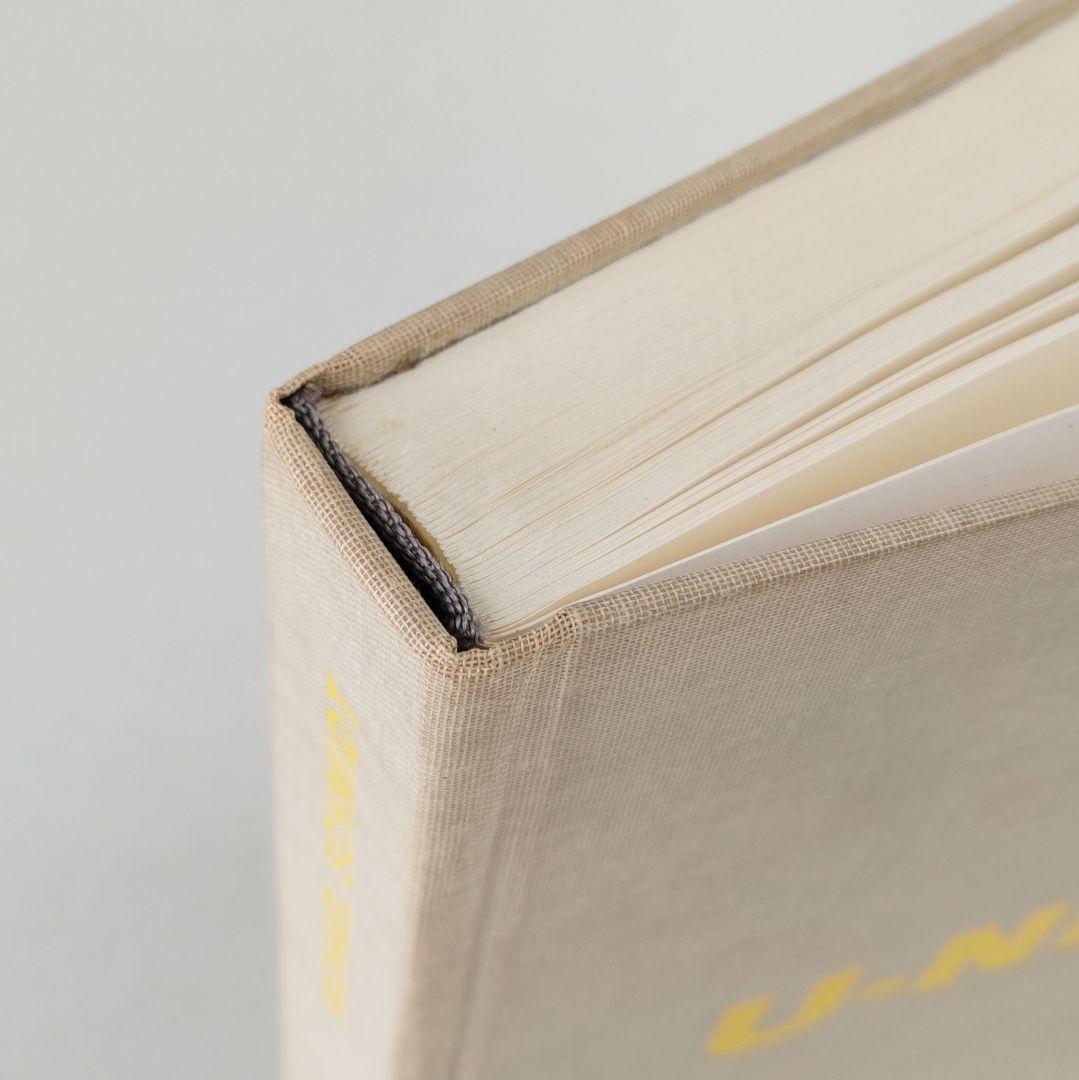 U-NI-TY MICAEL SCHMIDT/写真集 ミヒャエル・シュミット