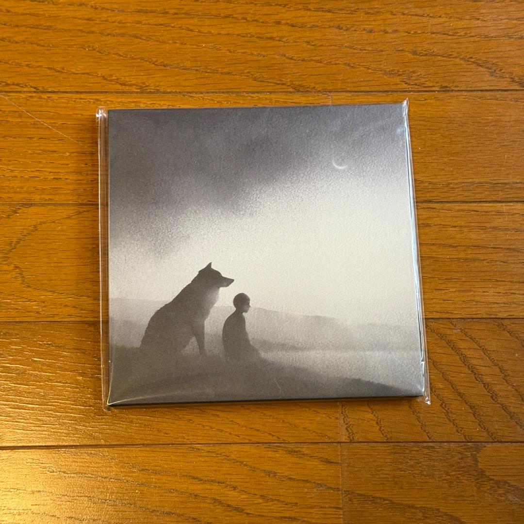 スピッツ spitz DVD CD 本 初回盤　限定生産