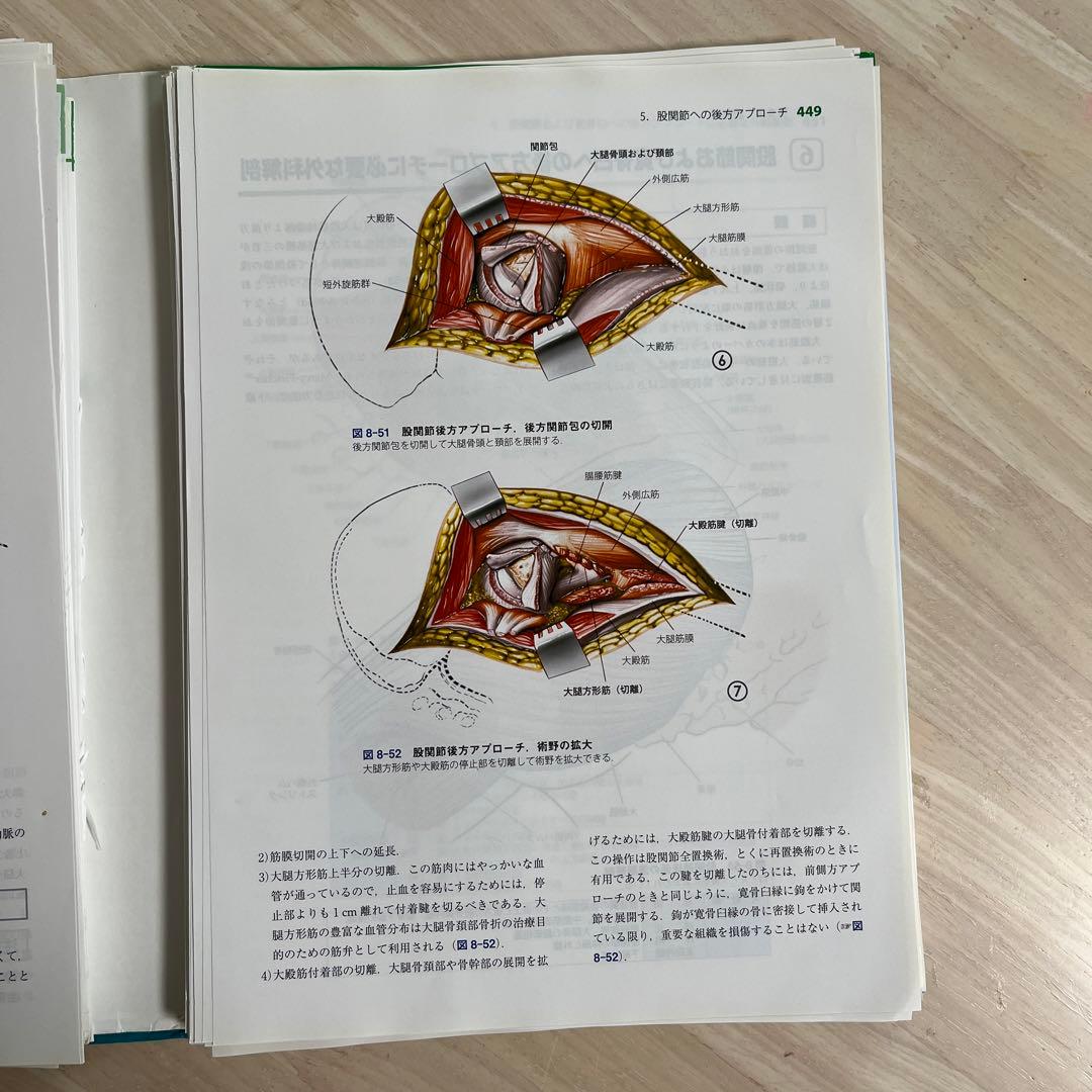 【裁断済】整形外科医のための手術解剖学図説 原著 第4版