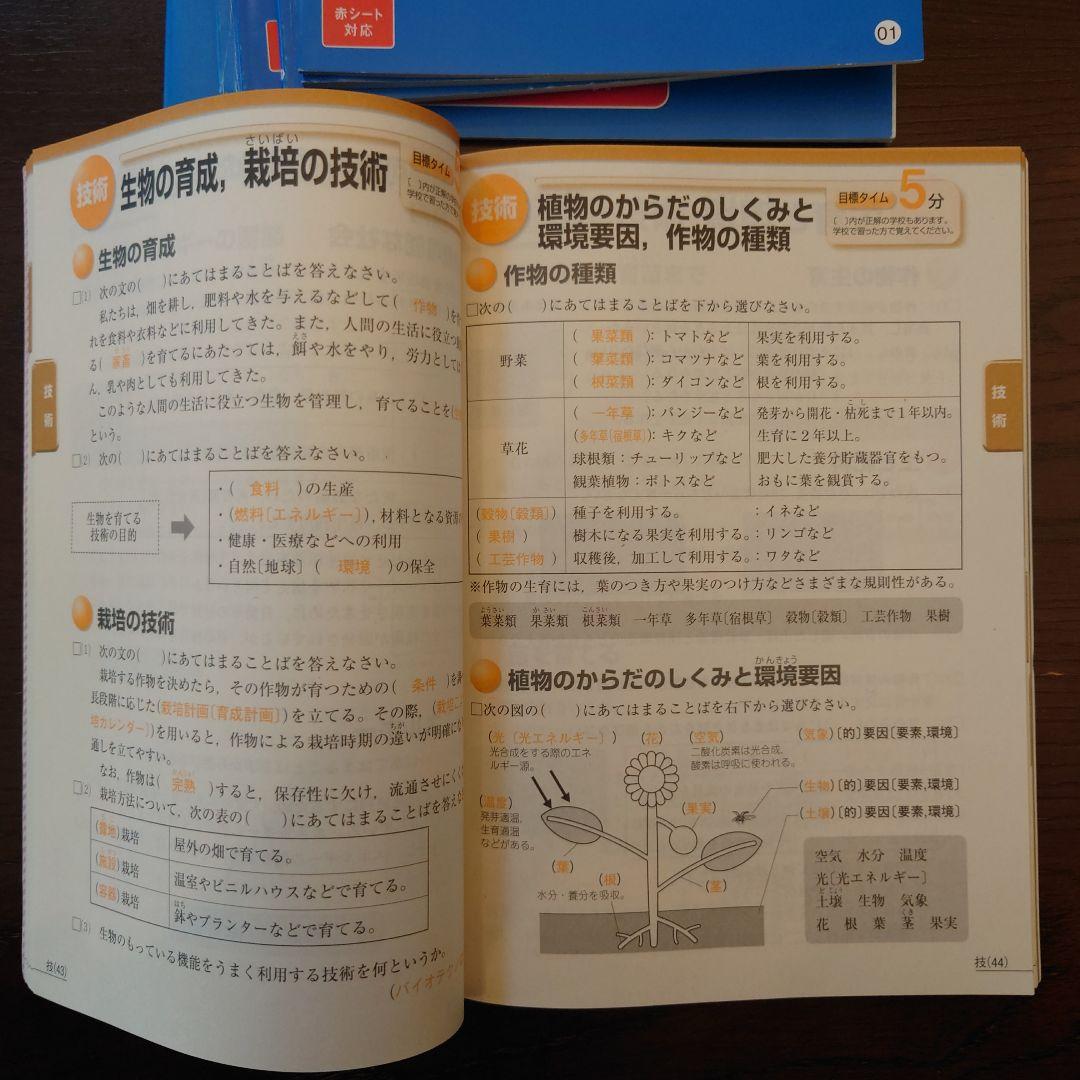 進研ゼミ中学生コース　中高一貫スタンダード中1　2024/4〜2025/2　美品