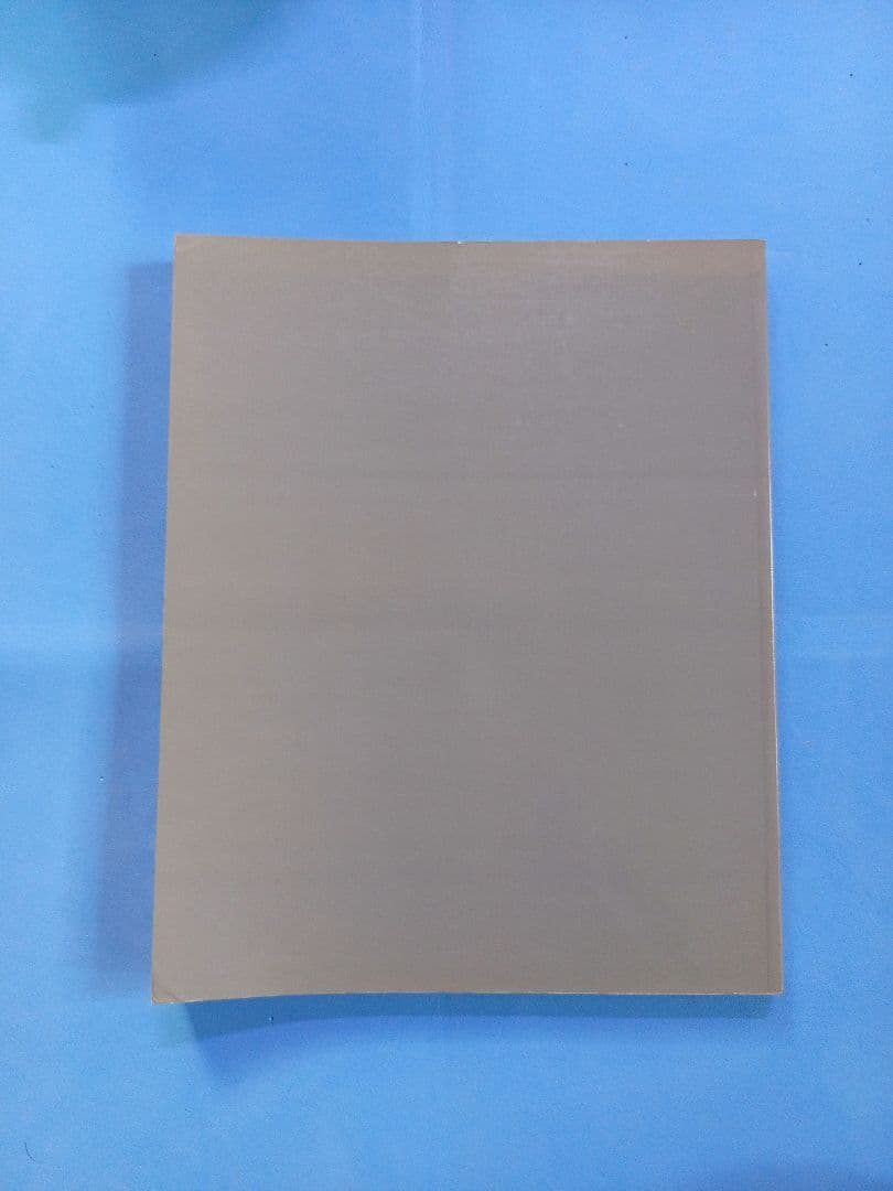 洋書 Danny Lyon Photo Film