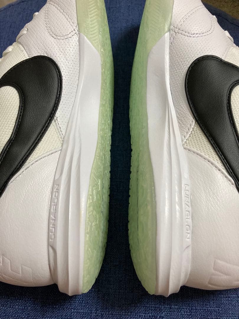 日本未発売Nikeプレミア2サラIC26(sala