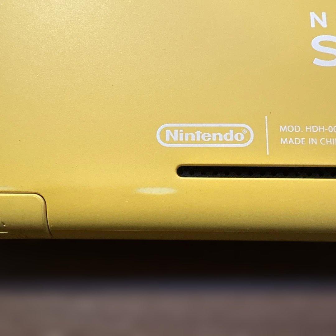 Nintendo switch Lite + ケース付