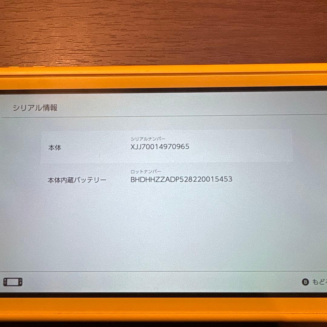 Nintendo switch Lite + ケース付