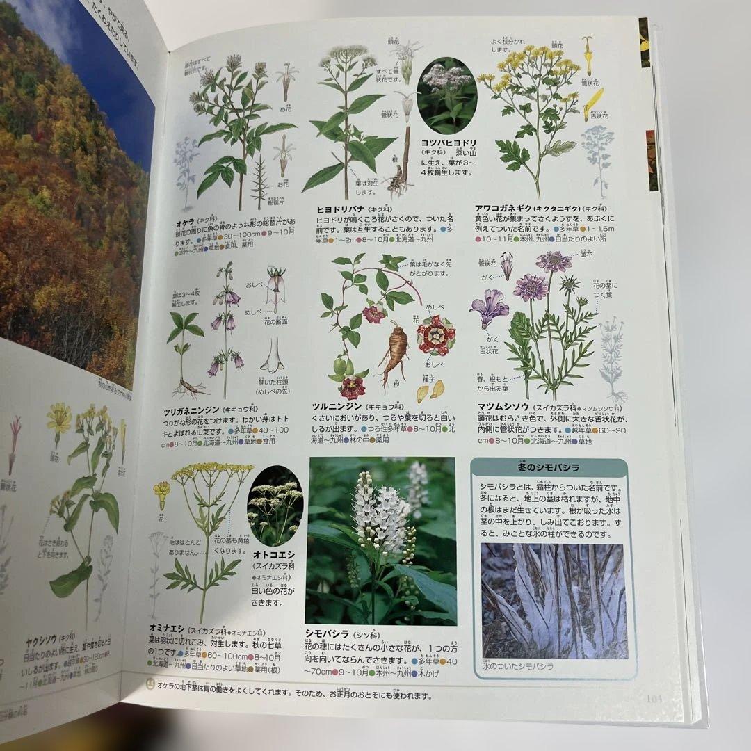 プレNEO 小学館　図鑑　まとめ　きせつの図鑑　かず　ふしぎの図鑑　お受験