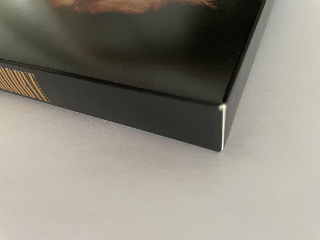 ロング・グッドバイ DVD BOX 浅野忠信 綾野剛