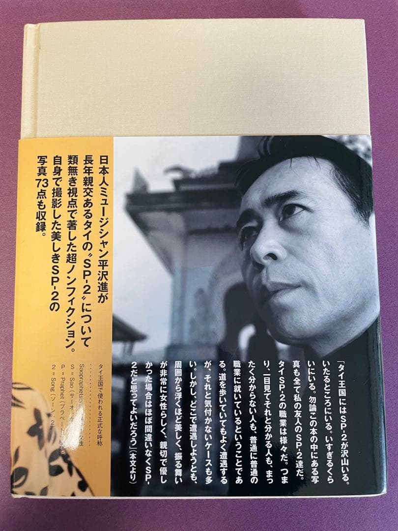 SP-2平沢進 絶版希少大型本