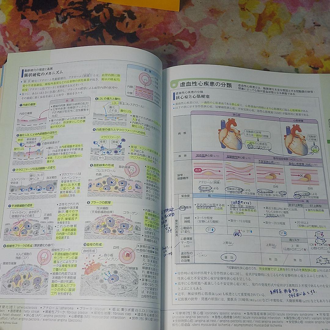 確認用 病気がみえる vol.2 第4版